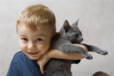 Ребенок хочет котика, как его кормить